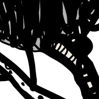 Arbre, de Montse Noguera